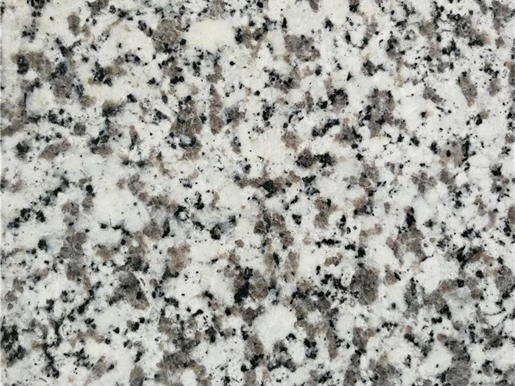 Bianco Sardo Granite Slabs Bianco Sardo Granite Slabs